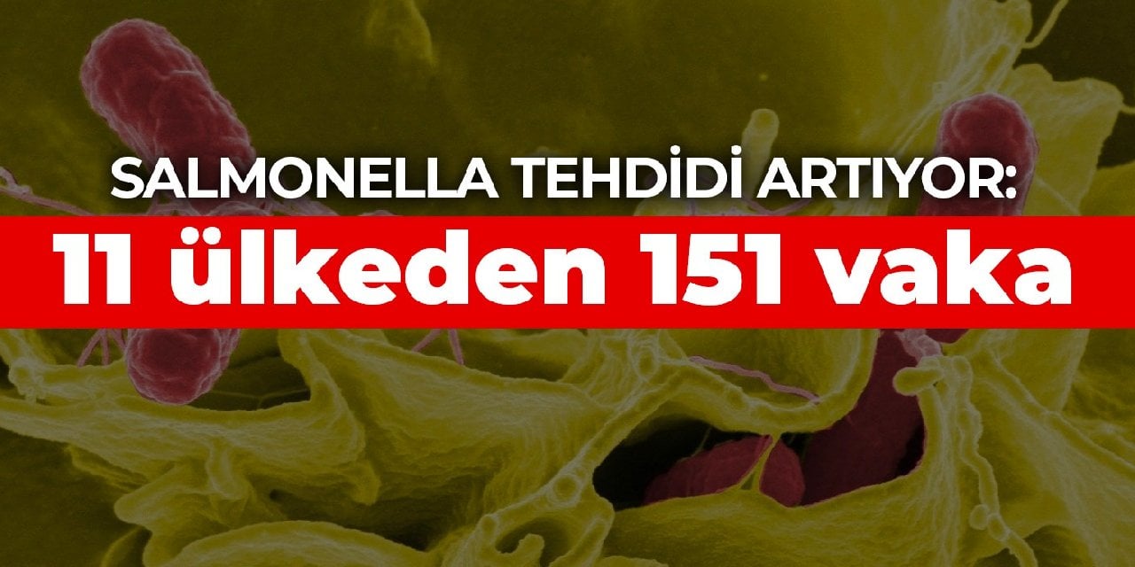 Salmonella tehdidi artıyor: 11 ülkeden 151 vaka