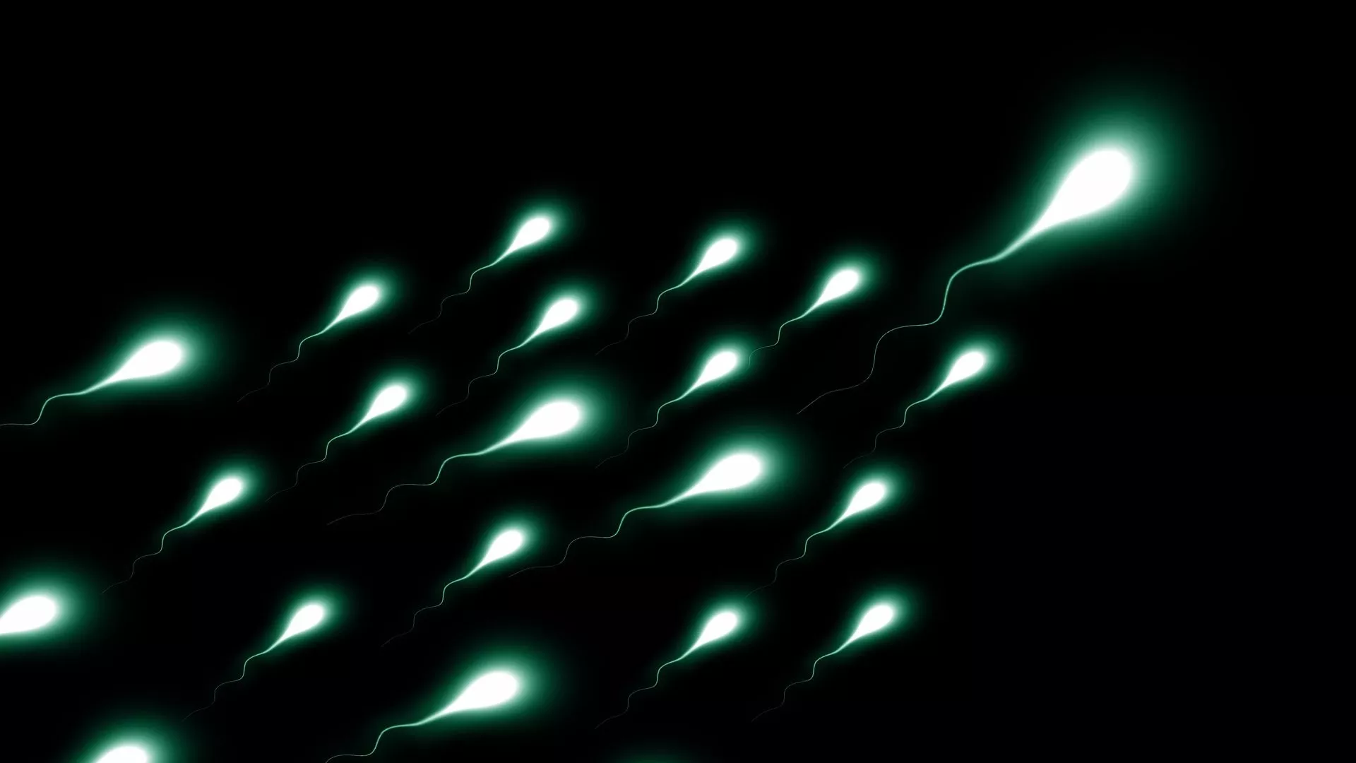 Sperm kalitesi için uzak durulması gereken besinler