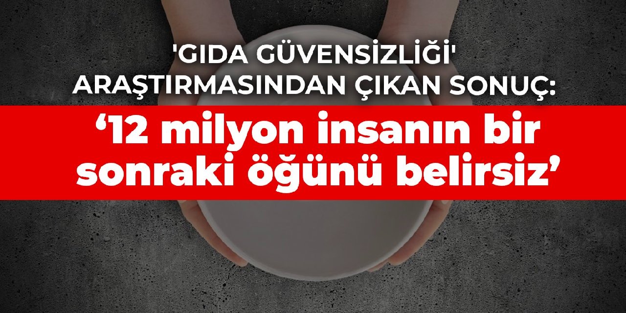 'Gıda Güvensizliği' araştırmasından çıkan sonuç: ‘12 milyon insanın bir sonraki öğünü belirsiz’