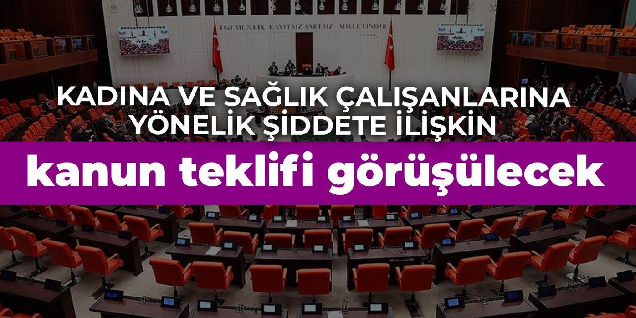 TBMM, kadına ve sağlık çalışanlarına yönelik şiddetin önlenmesine ilişkin kanun teklifi görüşülecek