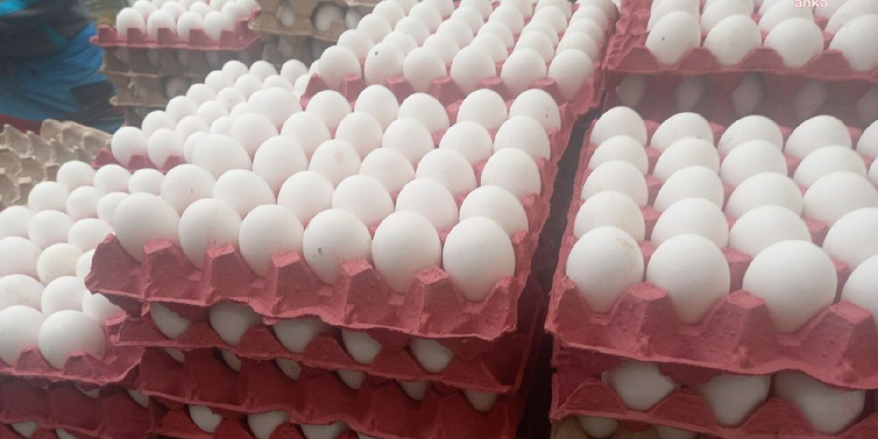 TÜİK: Tavuk yumurtası üretimi martta geriledi