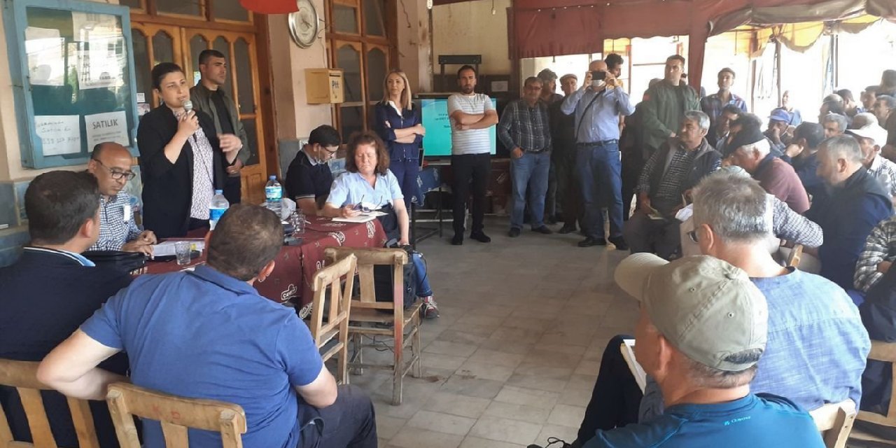 Yurttaşlar yaşam alanlarını savundu: Yediğiniz balı kesmek istediğiniz ağaçtaki arılar yapıyor