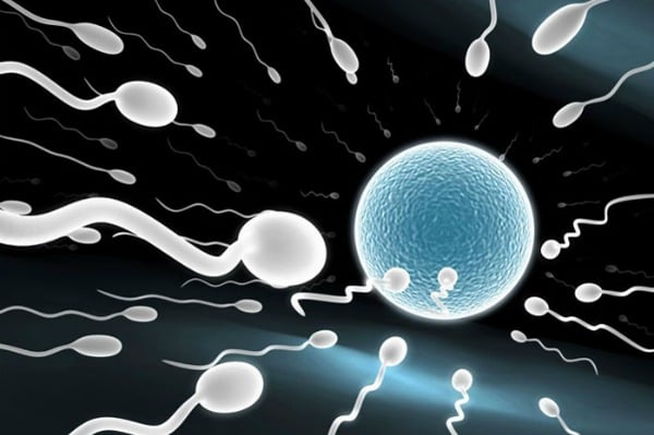 Erkeklerin aldığı besinler sperm kalitesini etkiliyor: İşte o gıdalar!