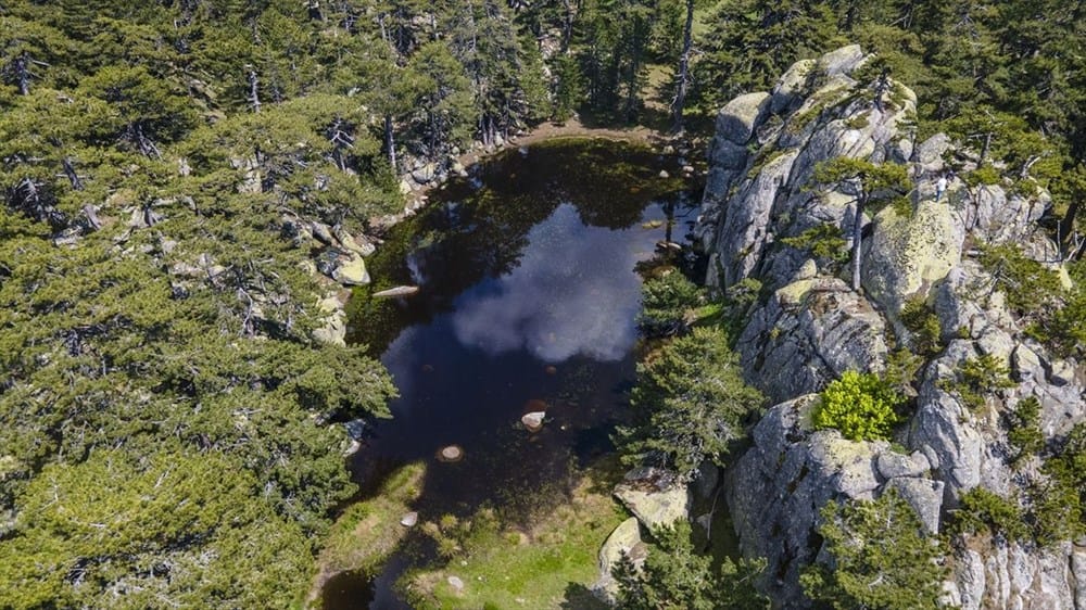 'Eğrigöz Dağı’nda 9 bin ağacın kesilmek üzere işaretlendi' iddiası