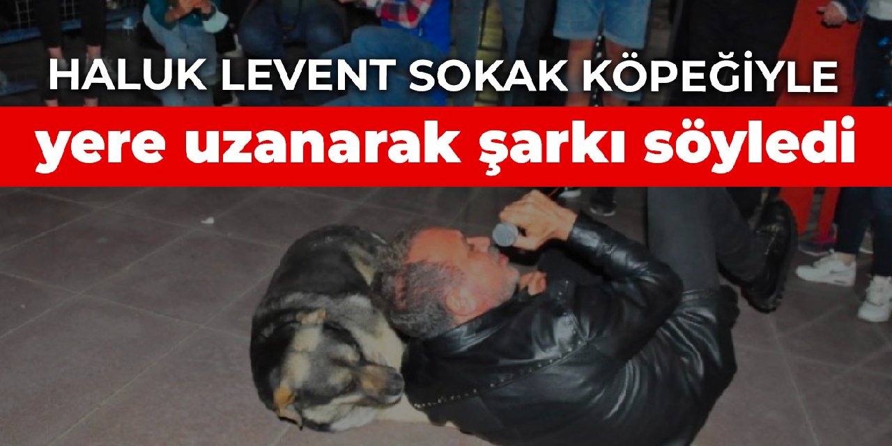 Haluk Levent sokak köpeğiyle yere uzanarak şarkı söyledi