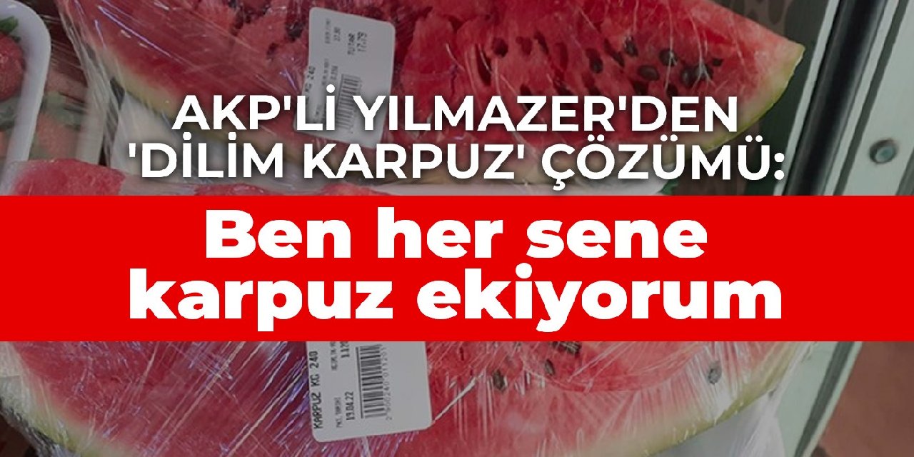 AKP'li Yılmazer'den 'dilim karpuz' çözümü: Ben her sene ekiyorum
