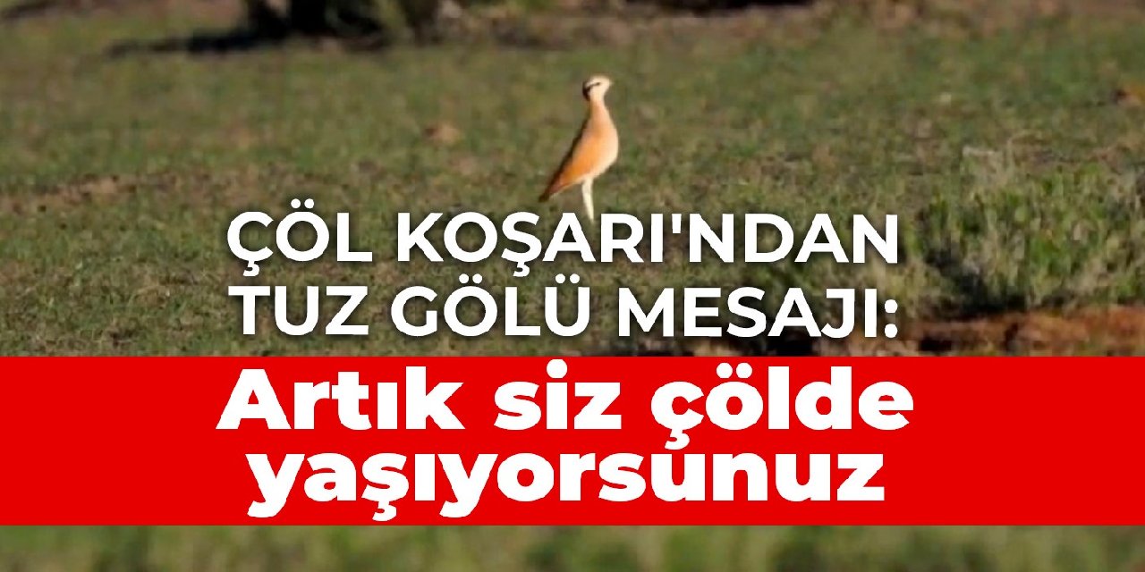 Çöl Koşarı'ndan Tuz Gölü mesajı: Artık siz çölde yaşıyorsunuz