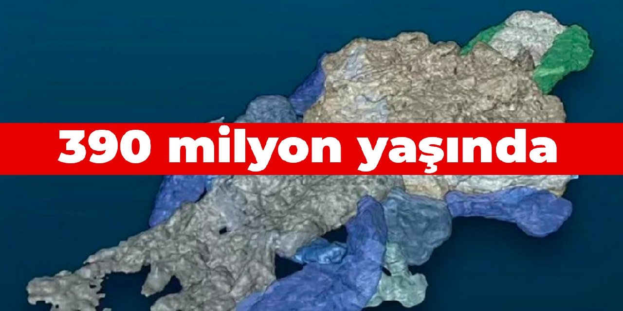 390 milyon yaşında, 4 uzvu ve çenesi var...