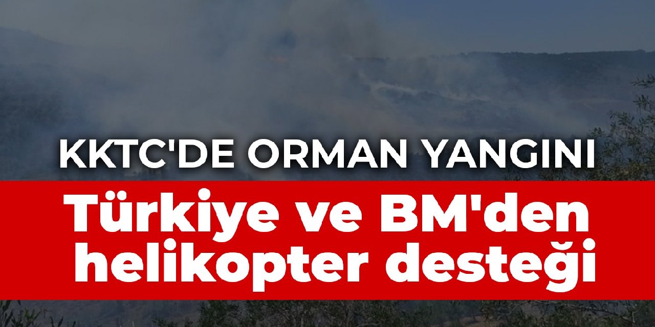 KKTC'de orman yangını: Türkiye ve BM'den helikopter desteği