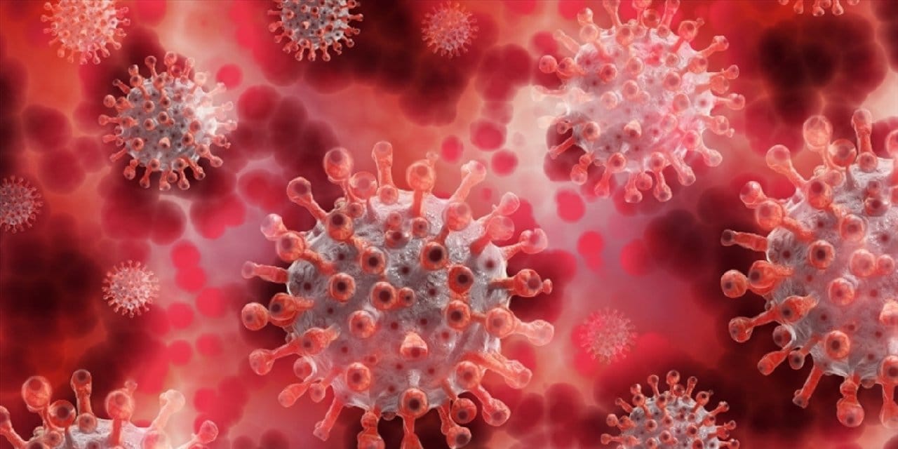 Meksika’da ilk maymun çiçeği vakası tespit edildi