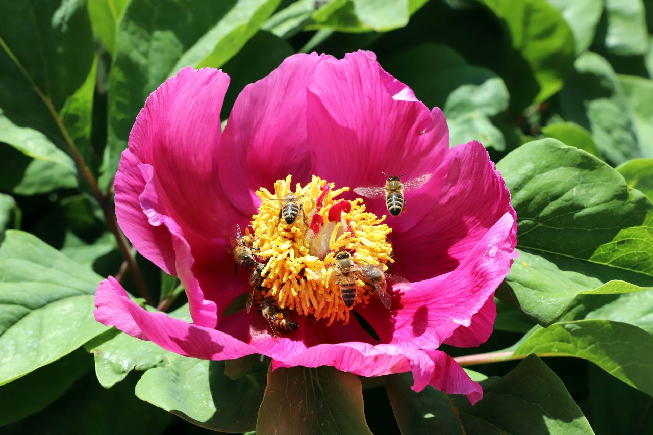 Koparmanın cezası 109 bin TL