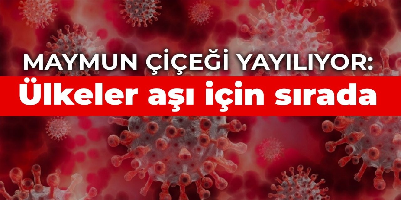 Maymun çiçeği yayılıyor: Ülkeler aşı için sırada