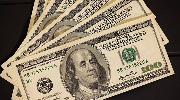 TÜİK'e göre Mayıs'ta en çok dolara yatıran kazandı