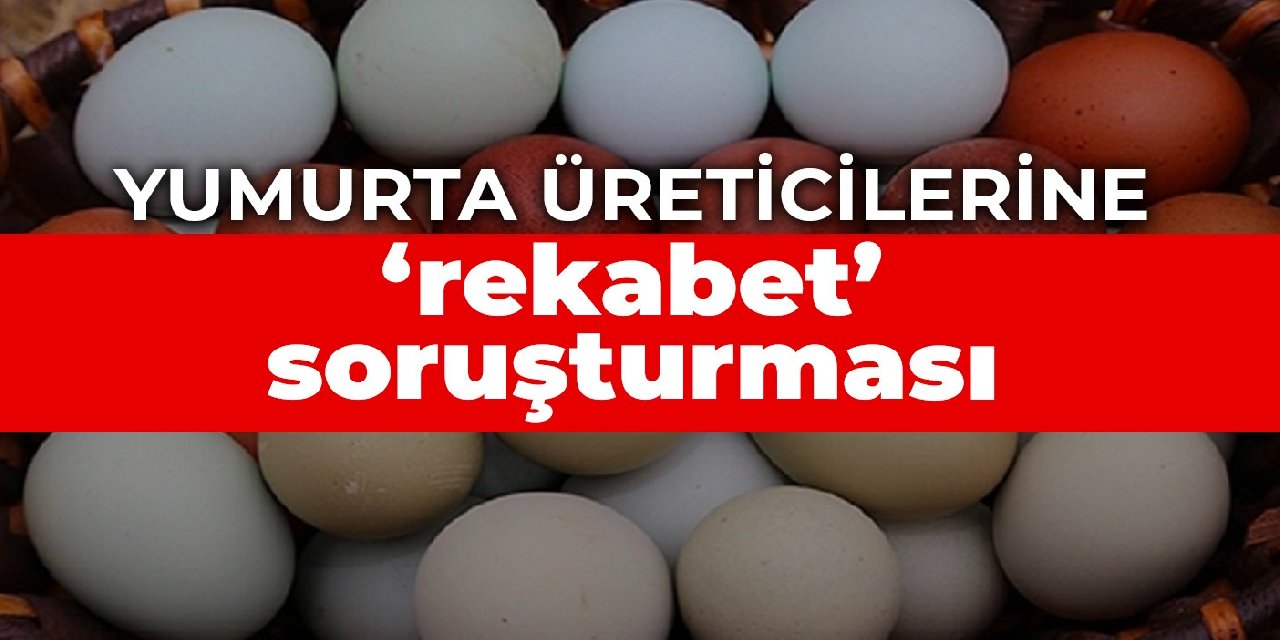 Yumurta üreticilerine ‘rekabet’ soruşturması
