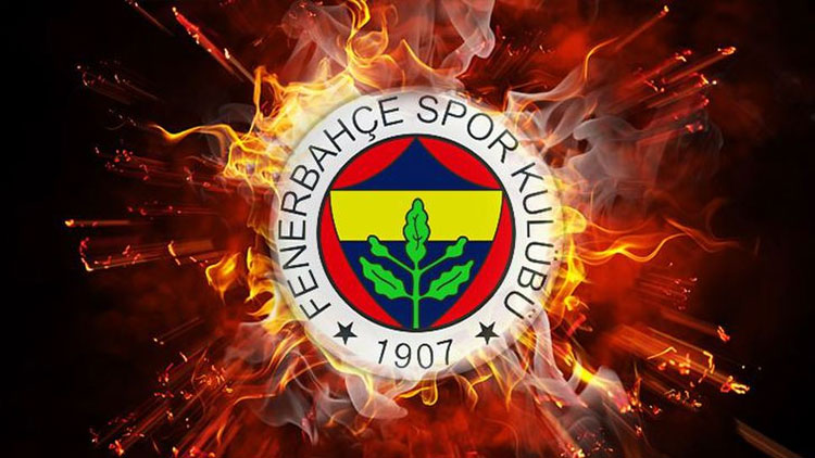 Fenerbahçe Kulübü, MHK'yi istifaya çağırdı