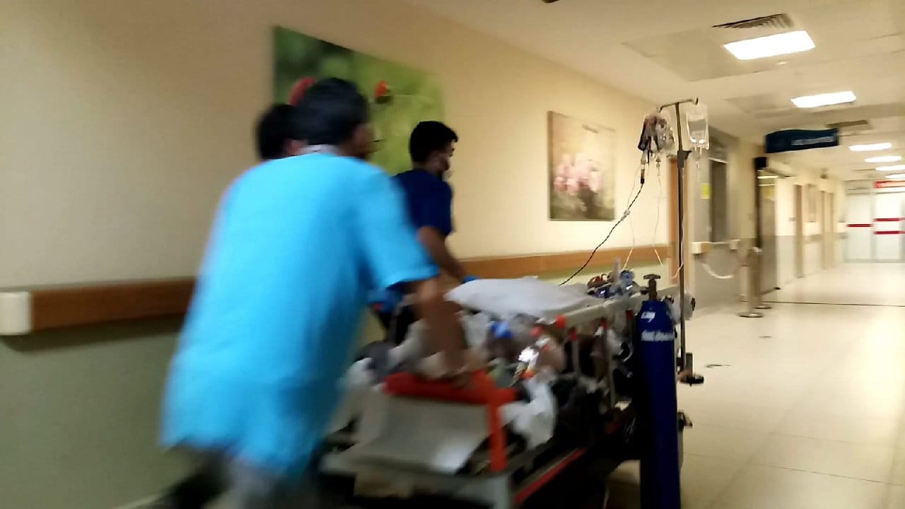 Kestiği ağacın altında kalıp öldü