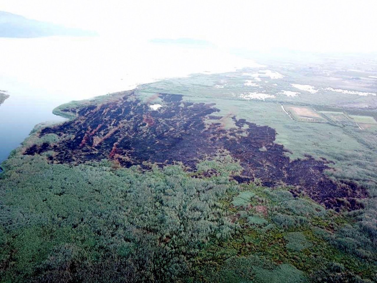 Yangın çıkarıp, selfie yapmış