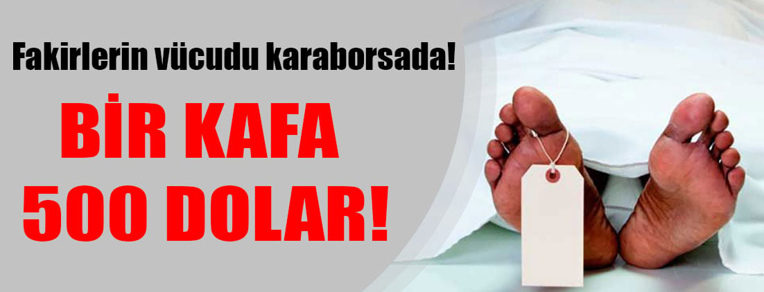 Fakirlerin vücudu karaborsada! Bir kafa 500 dolar!