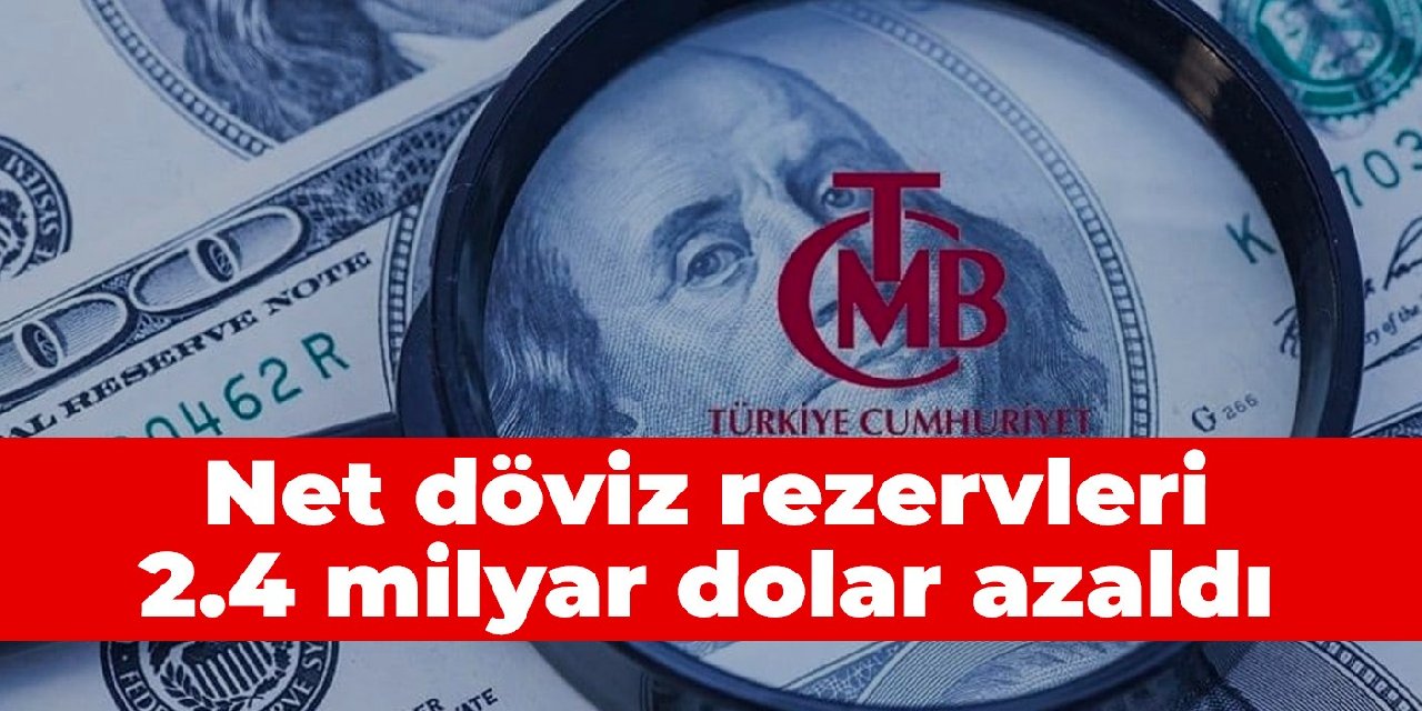 Net döviz rezervleri 2.4 milyar dolar azaldı