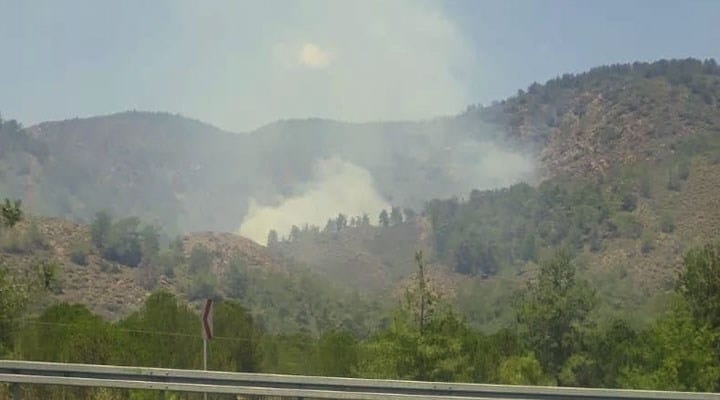 Köyceğiz'de de orman yangını