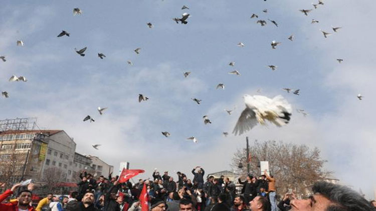 Zeytin Dalı Harekatı için bin güvercin doğaya bırakıldı