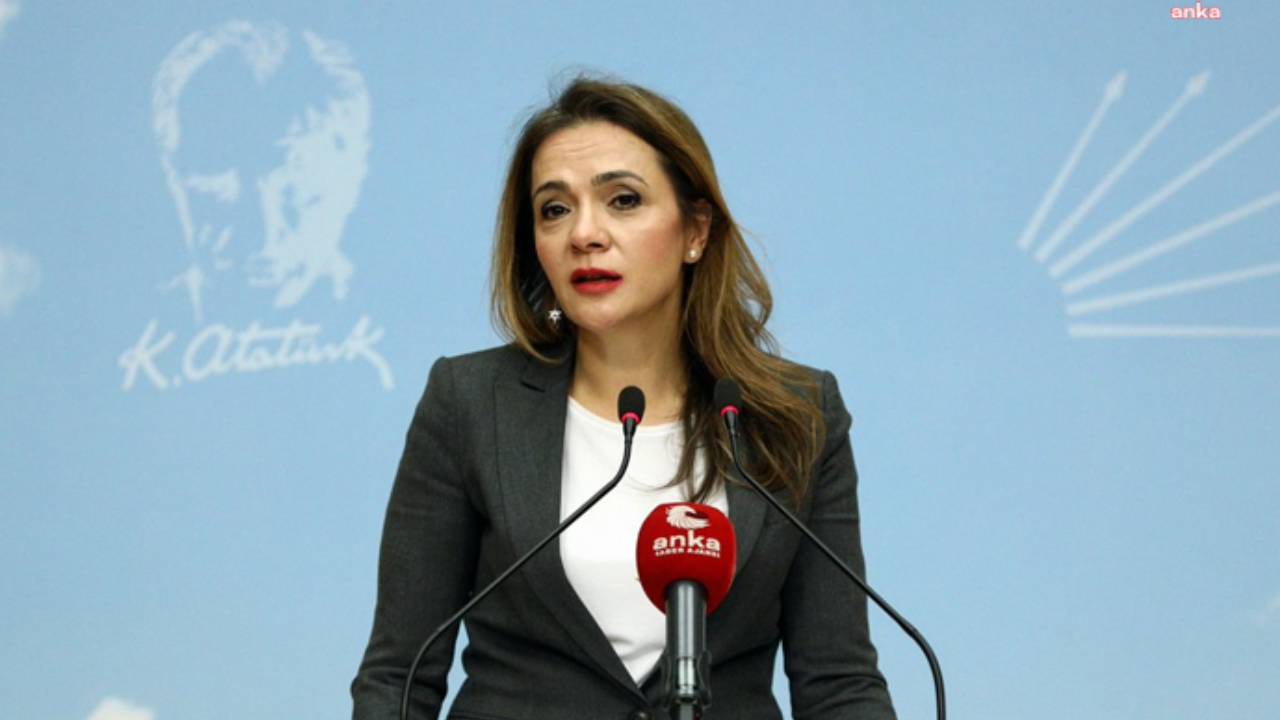 CHP'li İlgezdi Ankara Şehir Hastaneleri'deki iddiaları Meclis'e taşıdı