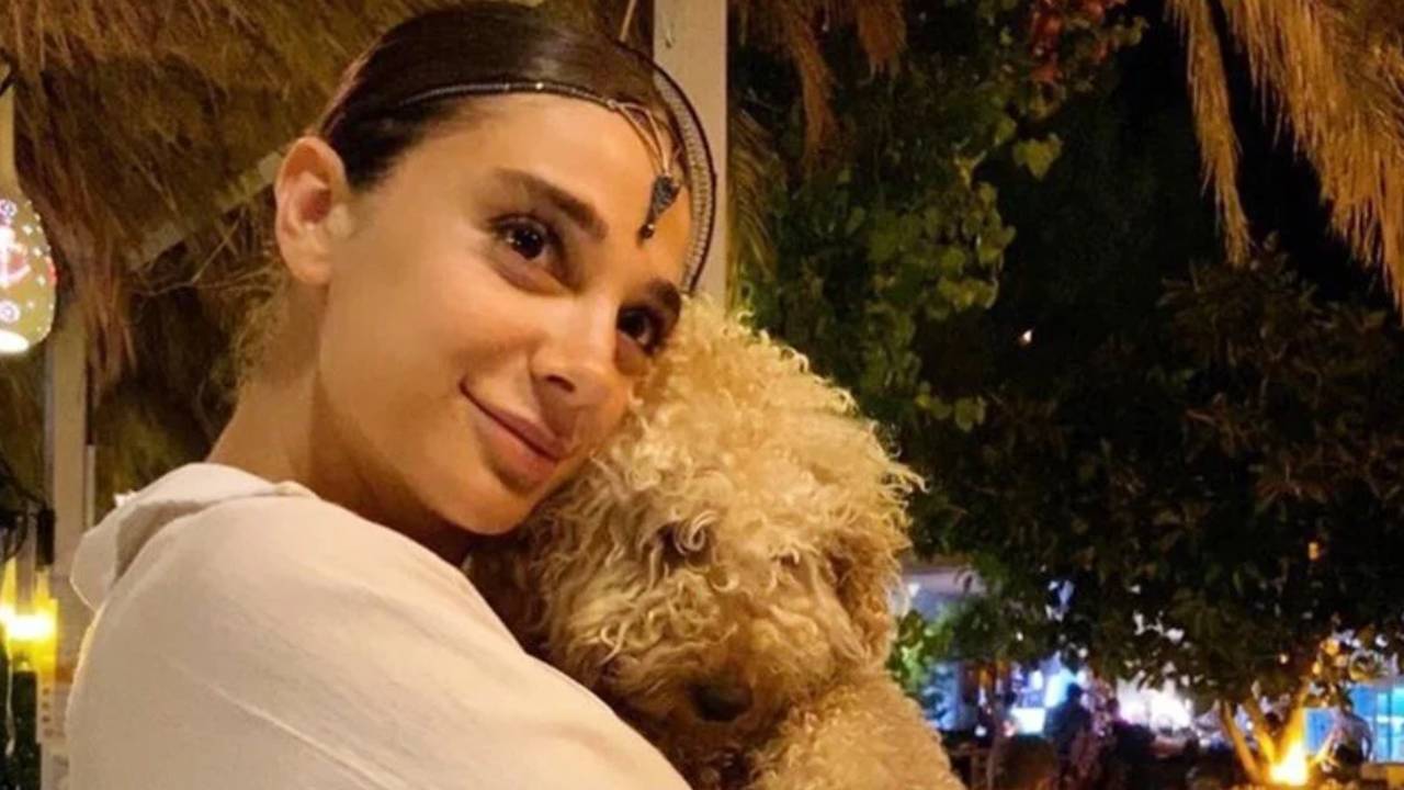 Avcı'nın avukatından indirim savunması: Özgecan Aslan dosyası ile kıyaslanmamalı