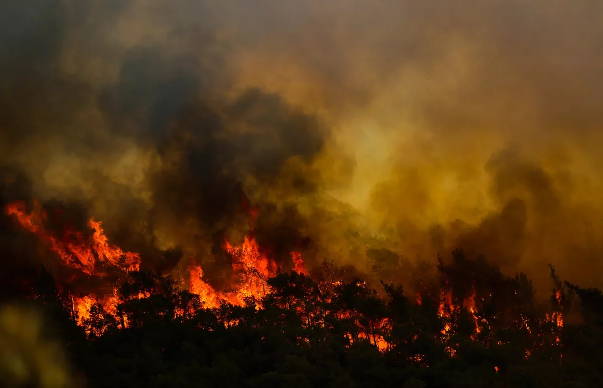 Marmaris Belediye Başkanı Oktay: Yangın söndürüldü