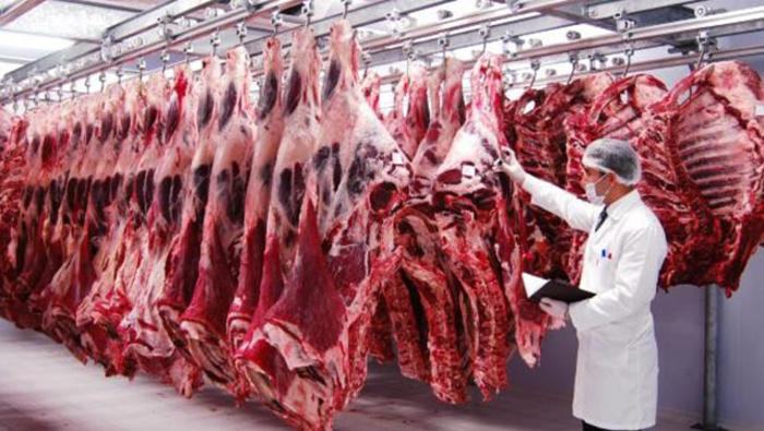 Ürküten tablo! Kırmızı et üretimi yüzde 12.6 azaldı