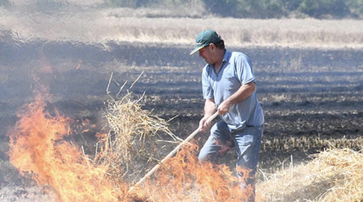 Tekirdağ’da 80 dönüm buğday tarlası yandı