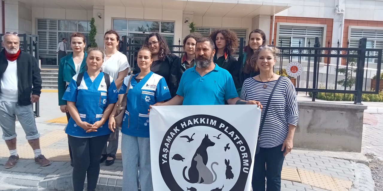 Köpeğe cinsel saldırıya 1 yıl 9 ay hapis ve para cezası