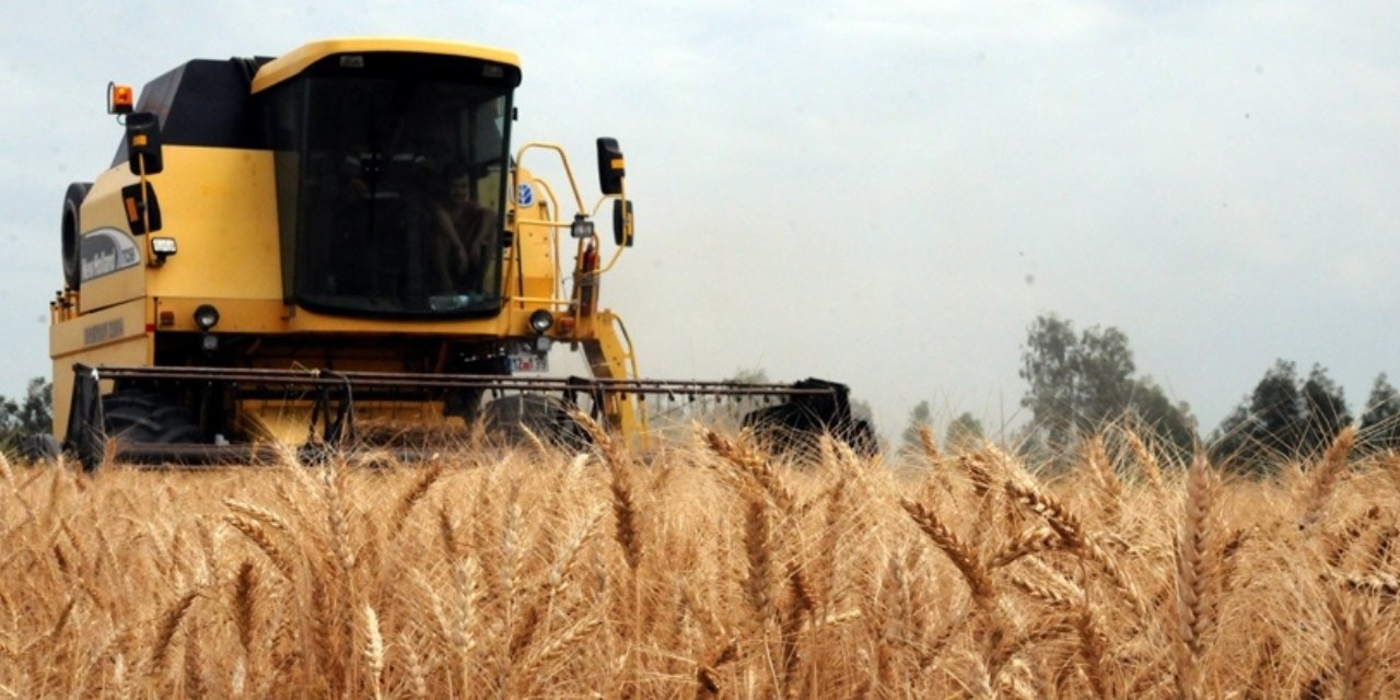Rusya'dan tahıl mesajı: Anlaşma itiraz olmadığı için uzatıldı