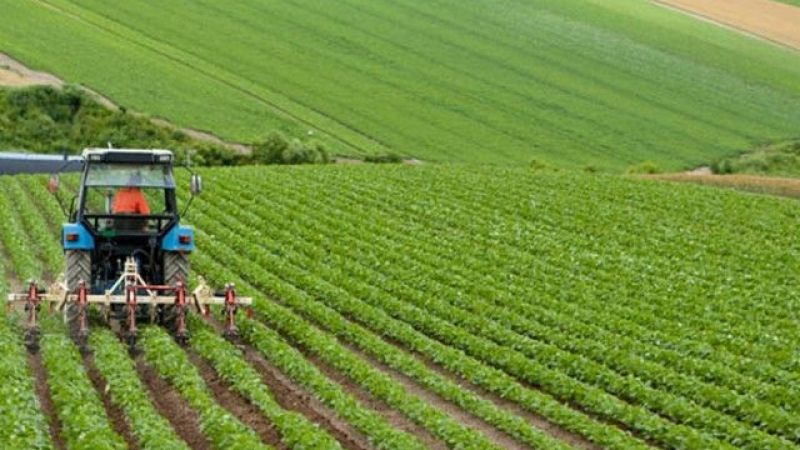 Tarım üretici enflasyonunda yeni rekor