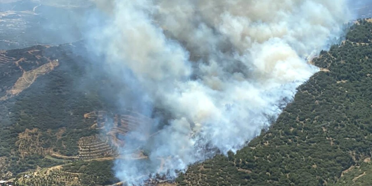 İzmir'de iki orman yangını