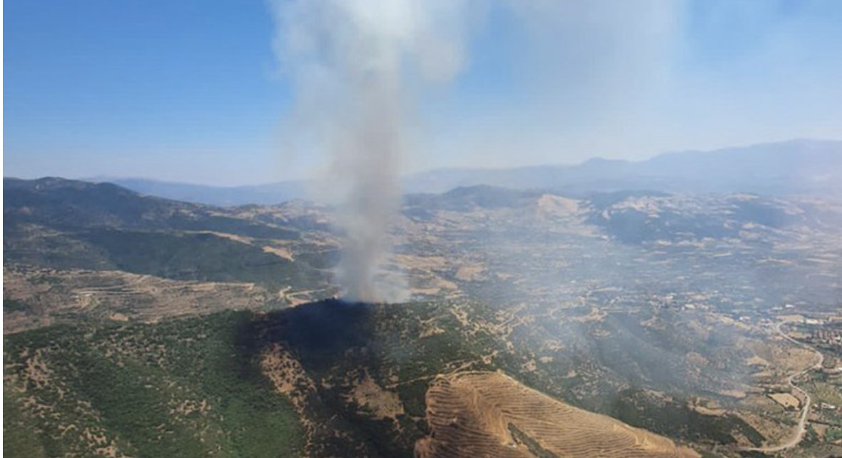 Bir orman yangını da Çanakkale'de