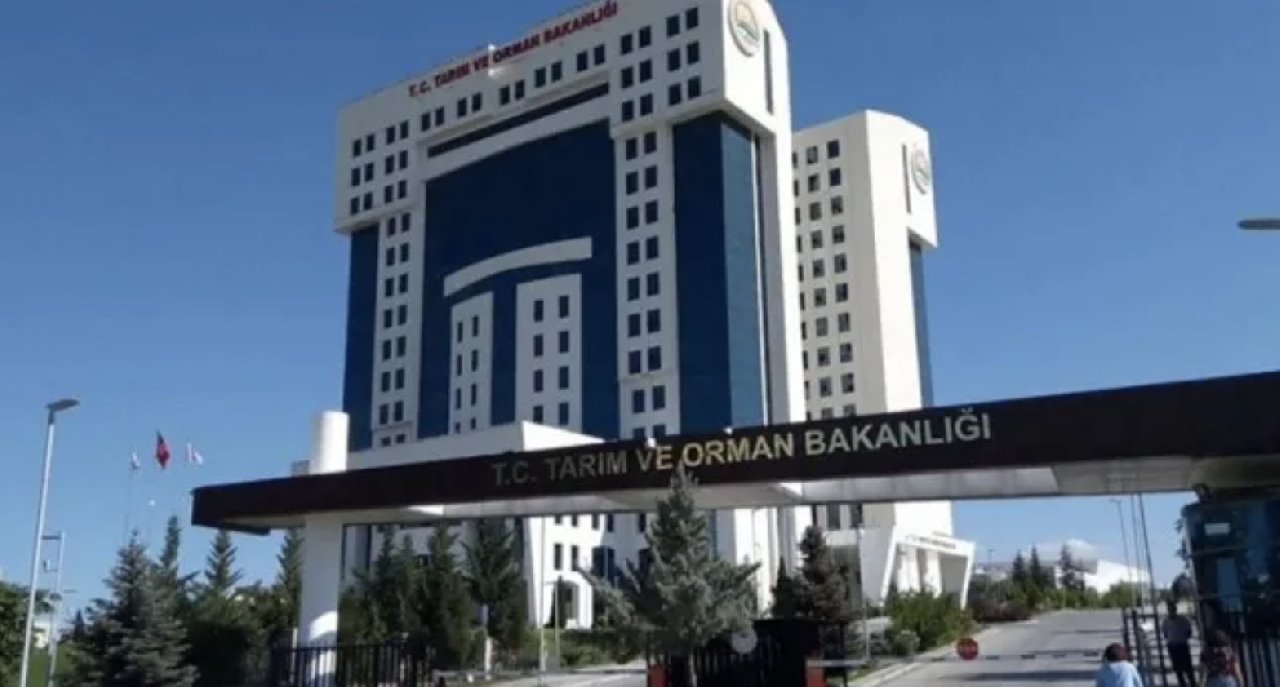 Bakanlık duyurdu: Üst düzey isim görevden alındı