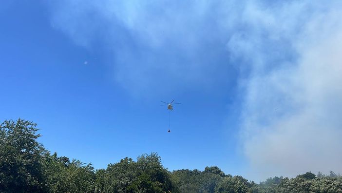 Beykoz'daki orman yangınıyla ilgili bir gözaltı