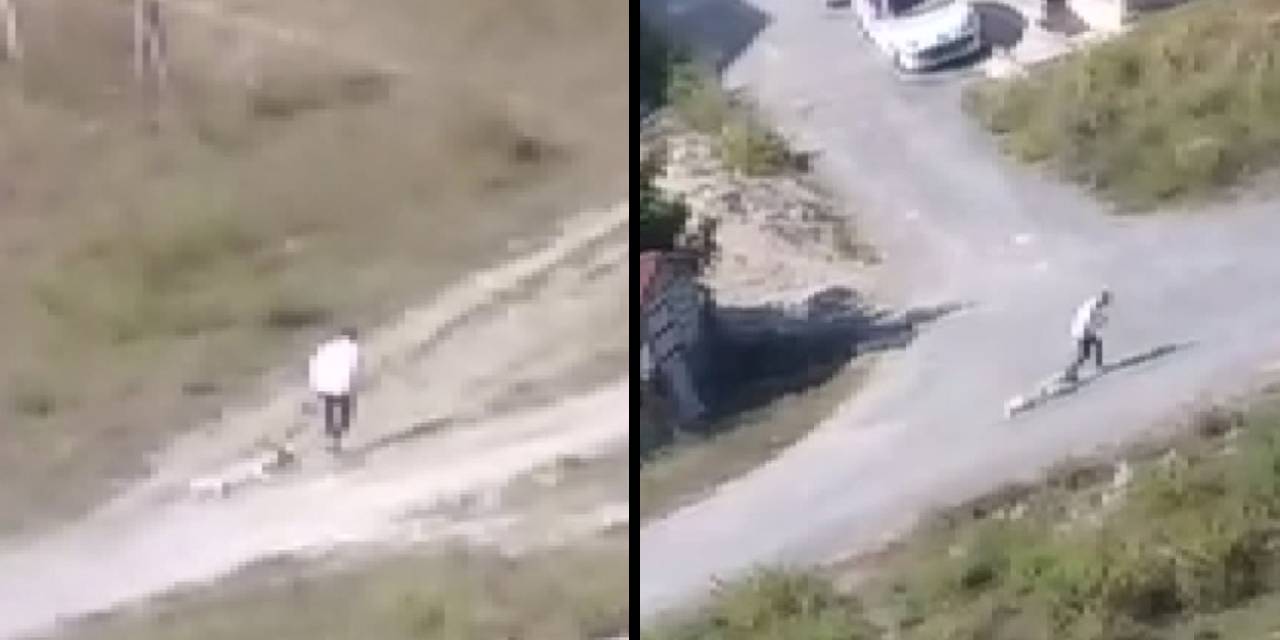Boynuna ip bağladığı köpeği metrelerce sürükledi