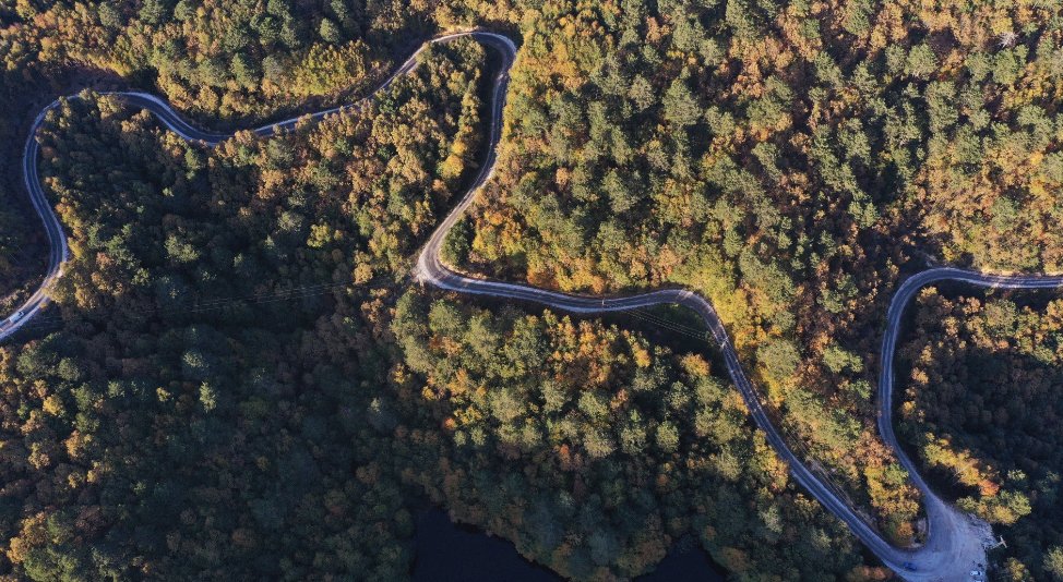 Yalova'da ormanlara girişler yasaklandı