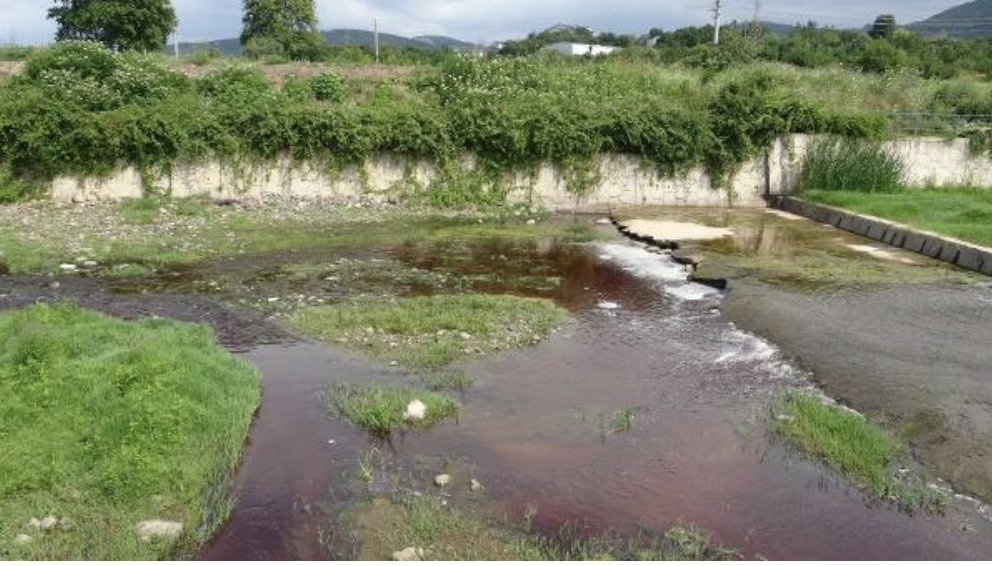 Kurbanlıkların kanı derelere aktı, suyun rengi kırmızıya döndü