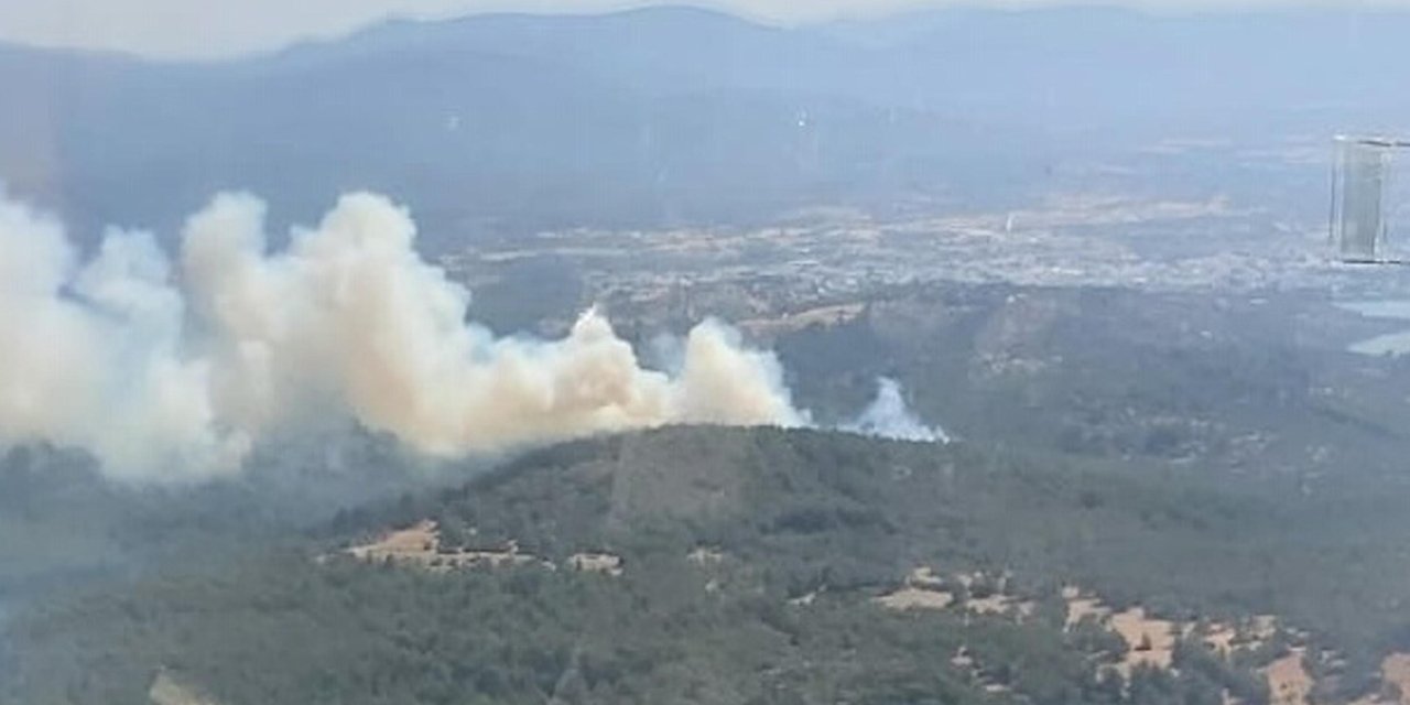 Bodrum'da orman ve makilik yangını