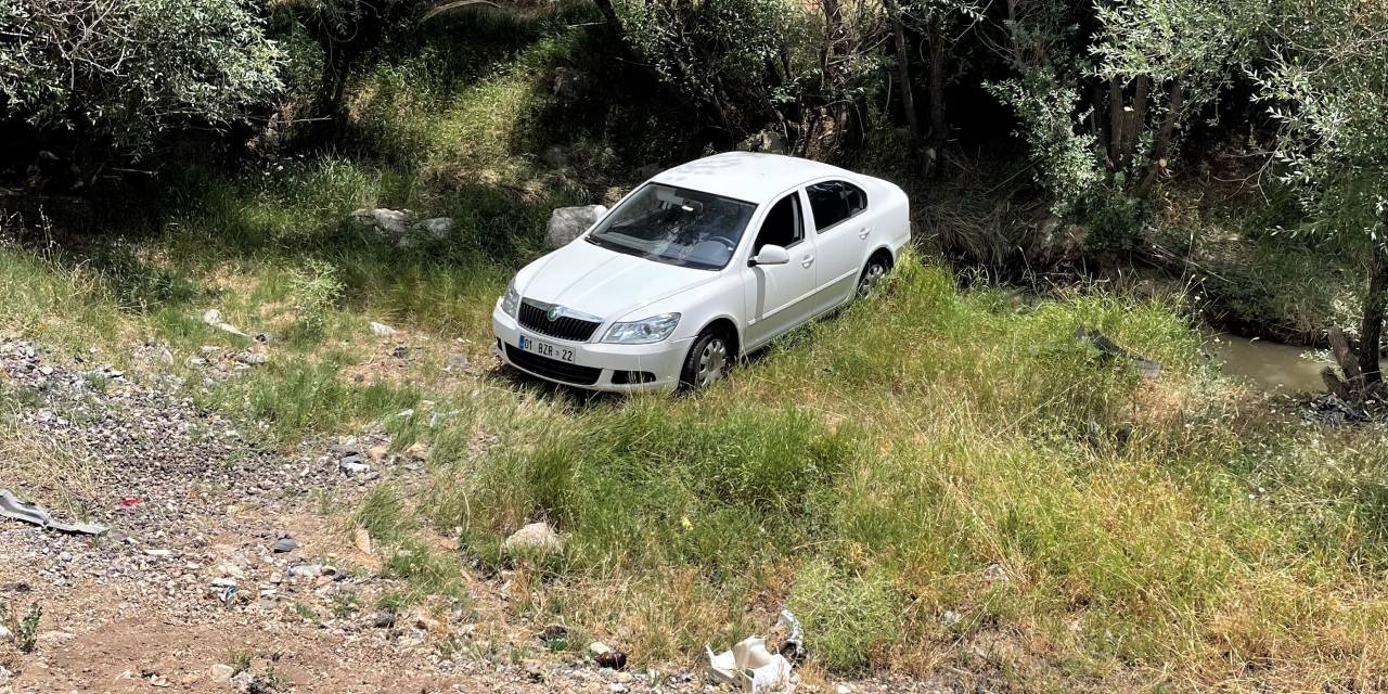 Sürücüsünü arı sokan otomobil şarampole düştü