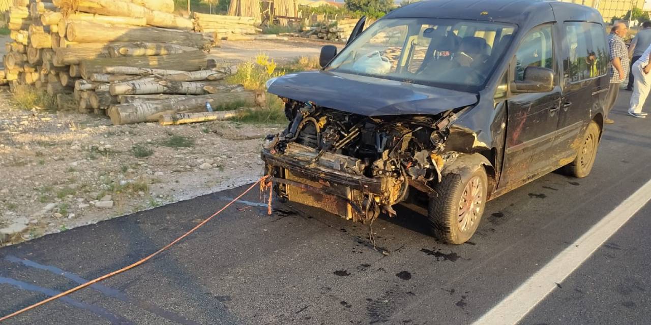 Hafif ticari araç küçükbaş hayvan sürüsüne çarptı