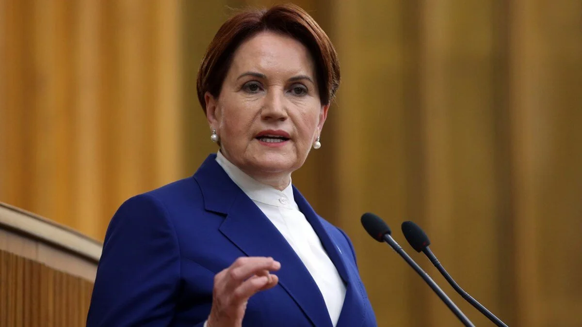 Akşener: Şovlara ayrılan zaman önlemlere ayrılsaydı