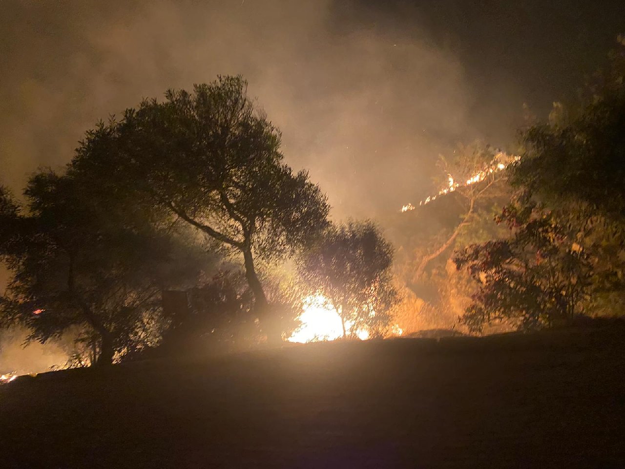 Çeşme'deki yangının sebebi belli oldu! 2 site boşaltıldı