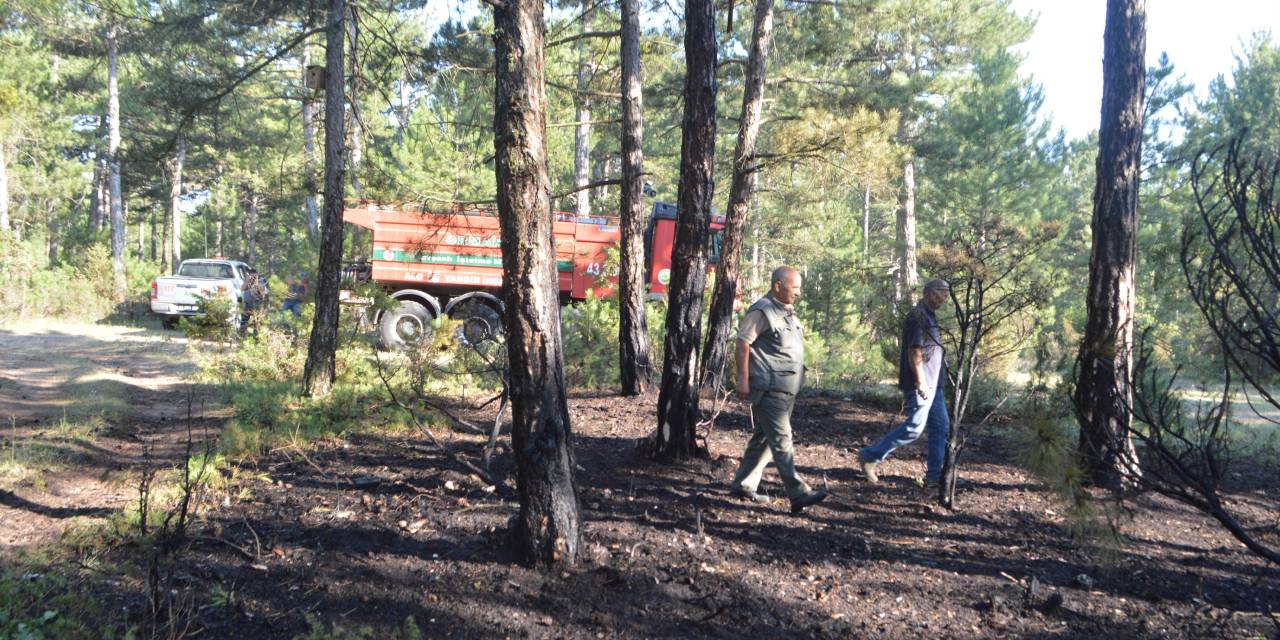 Kütahya'da orman yangını