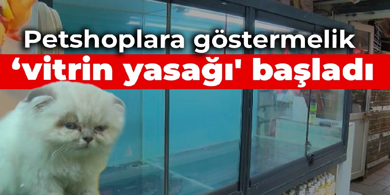 Petshoplara göstermelik 'vitrin yasağı' başladı