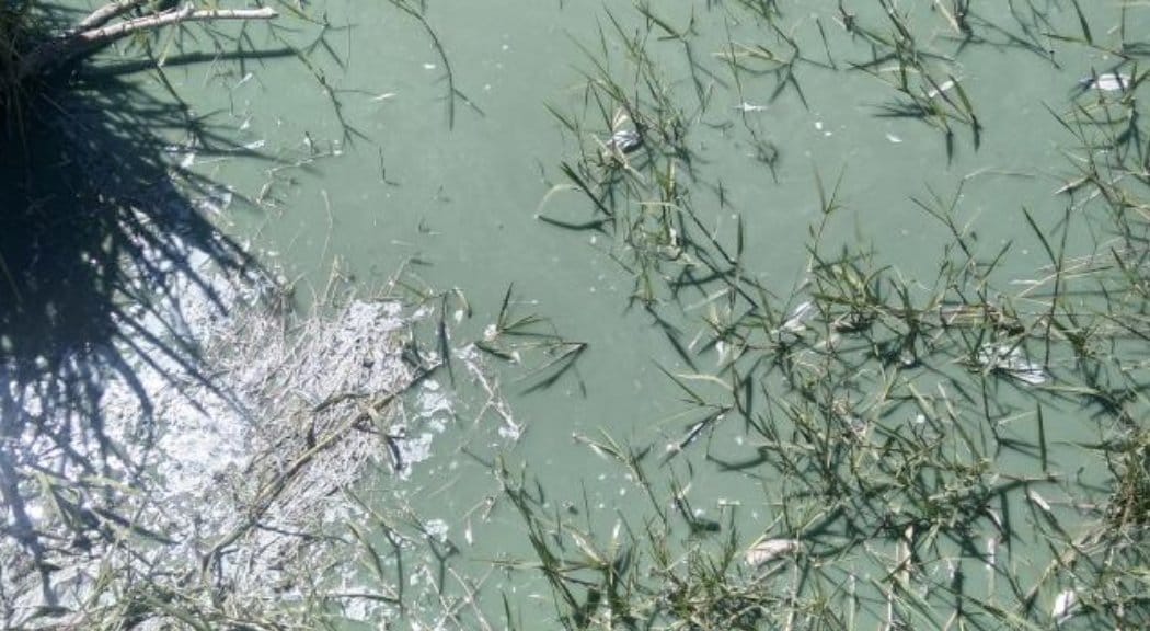 İSKİ'den Sazlıdere Barajı'ndaki görüntüyle ilgili açıklama: Doğal süreç