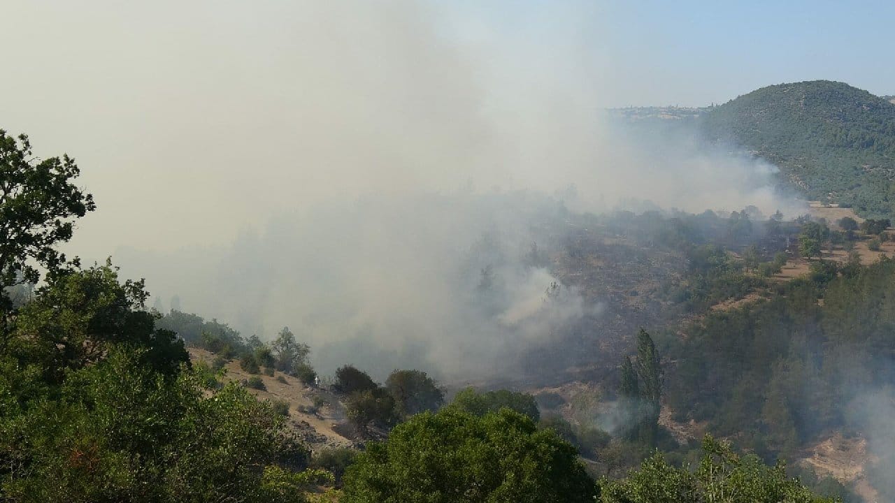 Balıkesir'deki orman yangınının çıkış nedeni belli oldu