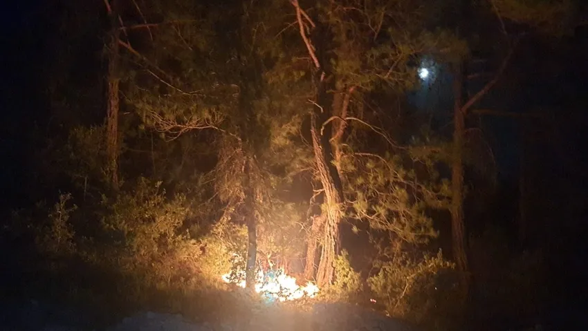 Adana'daki yangınlarda 1 kişi tutuklandı